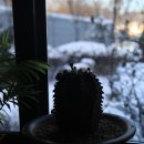 열미리보건진료소 이미지