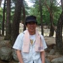 엠에스존 이미지
