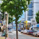 NR-77[대교로]-하-5 | 부산 광안리 데이트코스 추천 광안리맛집 도우개러지 후기