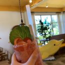 카페바나나 이미지