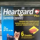 하일동물병원 이미지