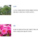 용성고등학교 이미지