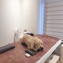 수원-0440 | 시흥 배곧 브라질리언왁싱 리포윅스, 유기농 슈가링으로 아프지않고 깔끔