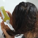 박수아미용실 | 헤어트리트먼트 트렌드 뷰티크리에이터 리지가 소개한 워터트리트먼트