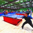 팔팔스포츠