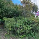 운학동 돌방무덤 이미지