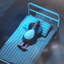 (주)아르테미스 | 4월 2주차 일기 _ 꽃놀이, 곱창, 아르테미스, 뉴뉴, 양즈간루, 로파서울 등