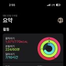 베라보우