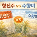 향진