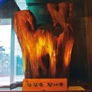 강감찬전시관 이미지