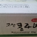 제주김집사 이미지