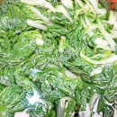 정현시래기 이미지