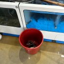 바다수산 이미지