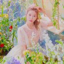 다원헤어 이미지