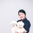 꼬씨와 펫살롱 이미지