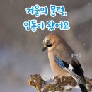 설리마을1 | 사천 초양도휴게소/남해 독일마을, 설리스카이워크, 다랭이마을 답사 후기