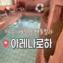 아레나로하 이미지