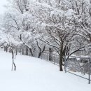 산수화농장 이미지