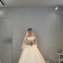 헬레나헤어라인 | 세인트헬레나 본식 드레스 셀렉 후기｜고민 끝에 고른 최종 드레스