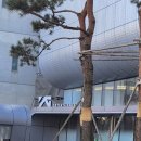YG엔터테인먼트 서류 합격 &amp; 1차 실무 면접 후기