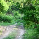 거제펜션다온 이미지