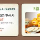 오마트 이미지