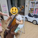 첼로 1:1 맞춤레슨 이미지