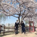 유에이치스위트 더강남 네이버블로그