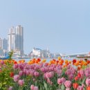 (주)척산온천휴양촌 이미지