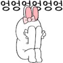 스마일카포스 이미지