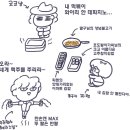 파렌