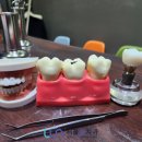 서울룬치과의원 이미지