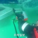 통영해양경찰서 이미지