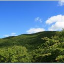 노고단-14 이미지