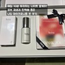 모공+탄력 고민 한방에 해결해줄 피부과,에스테틱 입점 니딥 마이크로니들 사용 리얼 후기!