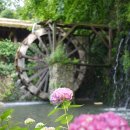 남서대로 이미지