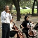 피리부는아저씨 이미지