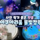 정원월드 - 종로구 인사동5길 25 | 잠실 실내 데이트 가볼만한곳 롯데월드 아쿠아리움 물빛정원 아기랑 방문후기 주말 주차