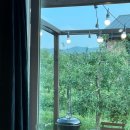 맨션애플트리 이미지