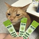 한라사료 | 반려동물식품 추천｜프롬한라골드유산균으로 고양이 건강 챙긴 벨아벨팜 후기