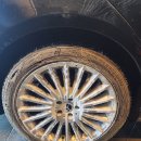 파파워시존 이미지