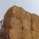 (주) 한중에스에스 이미지