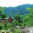 지리산털보농원 | 지리산 털보농원펜션
