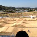 인천광역시 강화아시아드BMX경기장 이미지