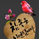좋은날에 이미지
