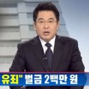 주홍코리아 이미지