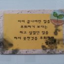 모악산가는길 이미지