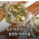 동명항대게마을 | 속초 대게 맛집 동명항 대게마을 내돈내산 찐 후기