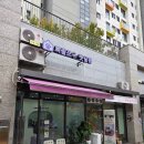 하나펫살롱 | 송파역애견미용 퍼플포우 펫살롱 헬리오시티상가 비숑미용컷 후기