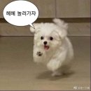 절골길 | [양산]부산근교 꿈에정원 c타입 내돈내산 여행후기